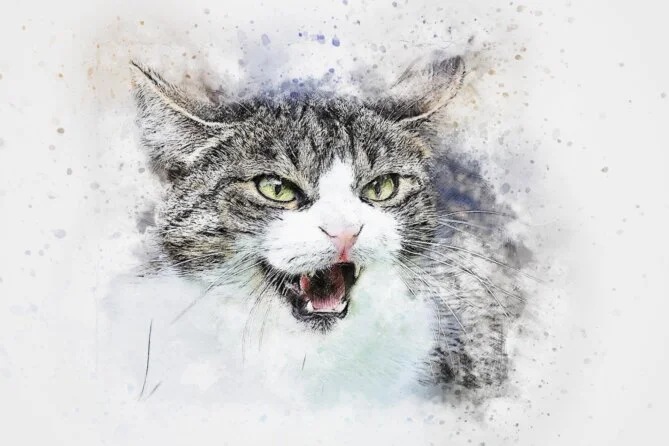 Auffälliges Verhalten bei Katzen ist immer ein Hilferuf Wenn Katzen Verhaltensauffälligkeiten zeigen, dann kann eine Verhaltensberatung helfen. Denn die Ursachen können vielfältig sein.